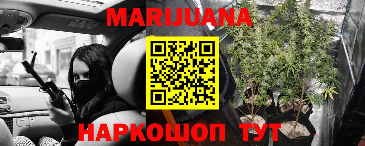 Канабис MAZAR Чернушка